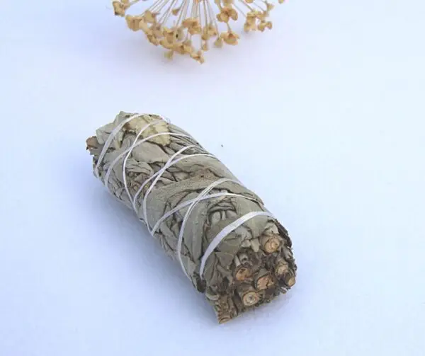 Räuchersalbei spirituelle Reinigung